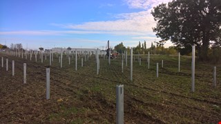 Solarpark Neugattersleben, Baugeschehen Solarpark Neugattersleben, Baugeschehen